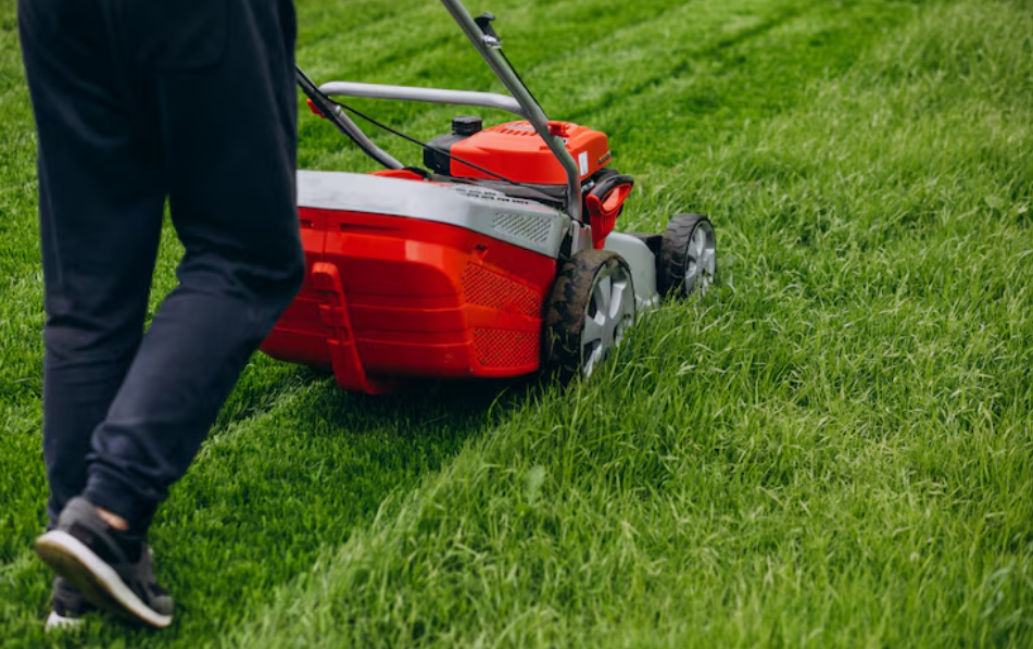 Ways to Improve Your Lawn’s Health, Color, and Overall Appearance post thumbnail image